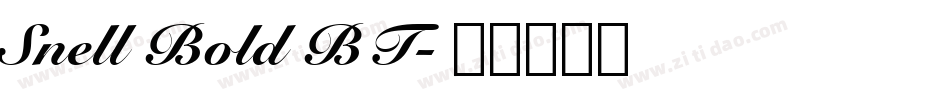 Snell Bold BT字体转换